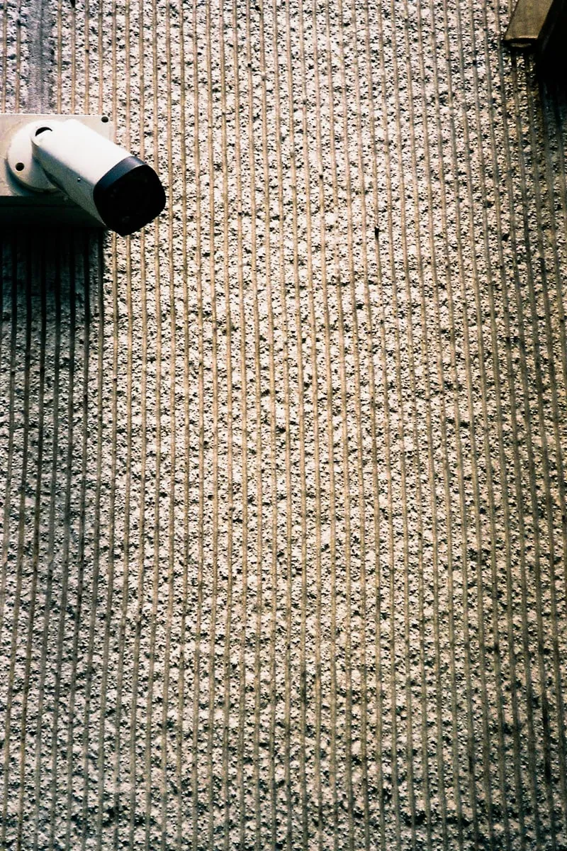 Carpet